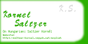 kornel saltzer business card