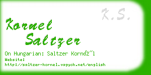 kornel saltzer business card